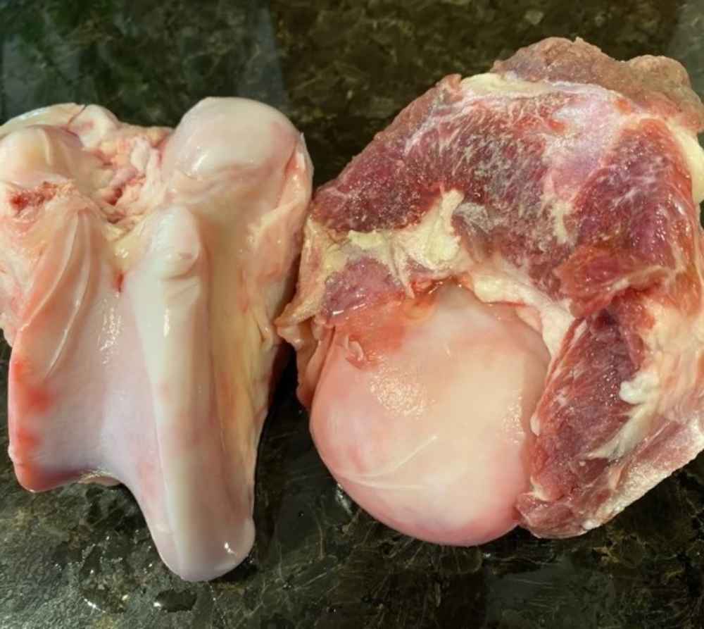 BISON BONES - Knuckles